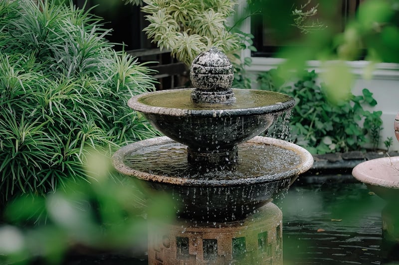 Patio Gardens